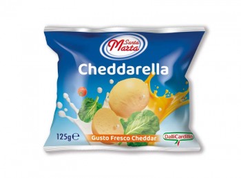 Lire la suite: Santa Marta Cheddarella busta g 125