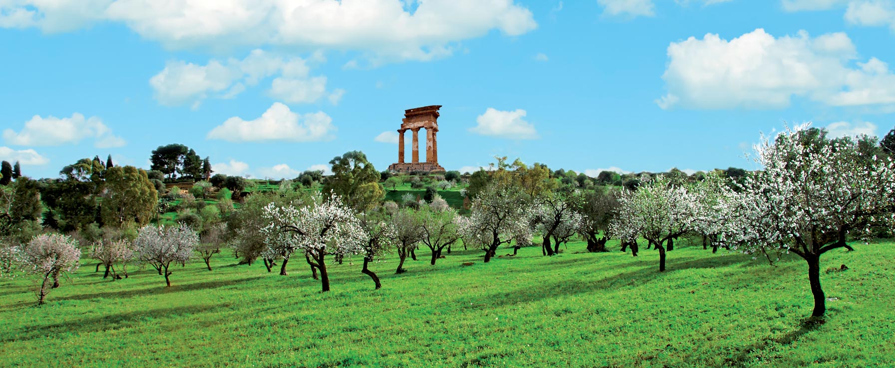 LAIT D'AMANDE LE GOÛT DE SICILE